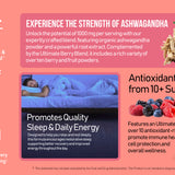3 Bottles of Ashwagandha Premium 120 Capsules