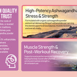 3 Bottles of Ashwagandha Premium 120 Capsules