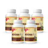 [Event Sale] 5 Bottles of Hovenia-Rx® Milk Thistle (600 Tablets)