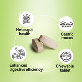 2병 번들 - 지포스 (180정)