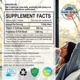 2병 번들 - 지포스 (180정)