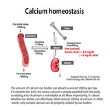 4 Bottles of Sean Lee's iBone Cal Mag Premium (480 Vegetable Capsules)
