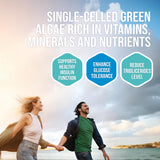 6병 번들 -  인슈바나 프리미엄 900 (1,080정)