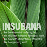 6병 번들 -  인슈바나 프리미엄 900 (1,080정)