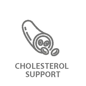 CHOLESTEROL SUPPORT