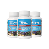나노웰 Lungova™ 호흡기 & 폐 건강 서포트 – 베타글루칸·도라지 추출물 함유 800mg, 90캡슐 X 3병 번들 (270 캡슐)