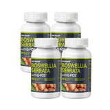 4 Bottles of Boswellia Serrata with G-FOS 180 Capsule (Event)