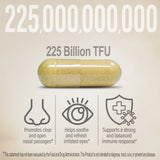 SinusBiome 90 Capsules